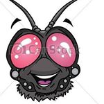 Profile Picture of Erik O'connor (@flyspeck11) on Instagram