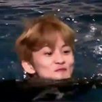 Profile Picture of Mark Lee | NCT💚 (@mark.leechin) on Instagram