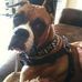 Profile Picture of Roxy Chadwick (@roxy.chadwick.3) on Facebook