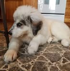 Profile Picture of James Thornley (@James-Thornley) on Facebook