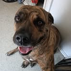 Profile Picture of Kyle Alderman (@KyleAlderman) on Facebook