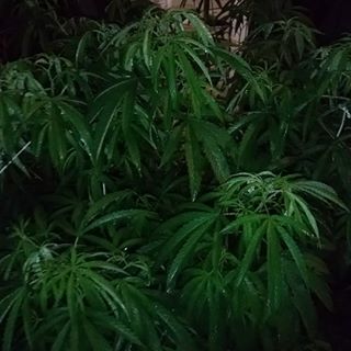 Profile Picture of Chad Bruederle (@chadbruederle01) on Facebook