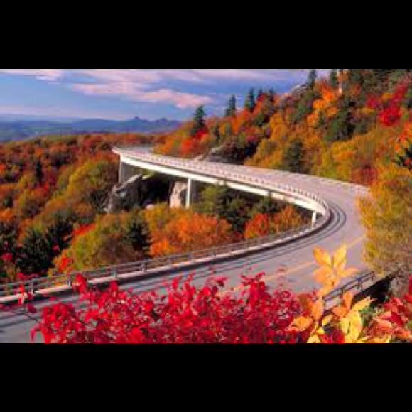 Profile Picture of Cathy Bennett (@cathenette) on Poshmark