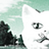 Profile Picture of Abbey  Cook (@the inspired girl) on Flickr