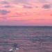 Profile Picture of Traci Cloud (@jeweleddart) on Pinterest