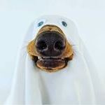 Profile Picture of Robert (@karrokas) on Instagram