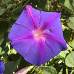 Profile Picture of Amy Mize (@_amymize_) on Instagram