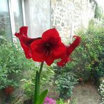 Profile Picture of julia lough (@julialough1) on Instagram