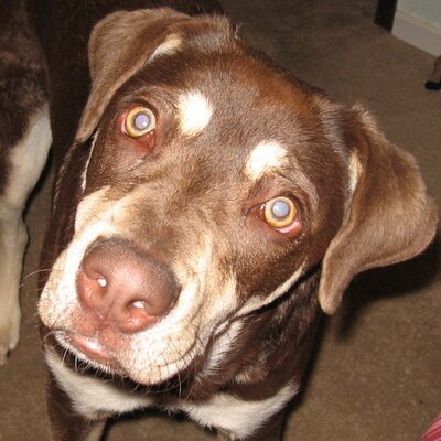 Profile Picture of Brent & Jim (@niche2earn) on Twitter