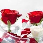 نسرین کمالی - Instagram Profile Picture of نسرین کمالی (@nasrinkamali13) on Instagram