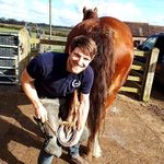 Profile Picture of David van den Broek (@hoovesandshoes) on Instagram