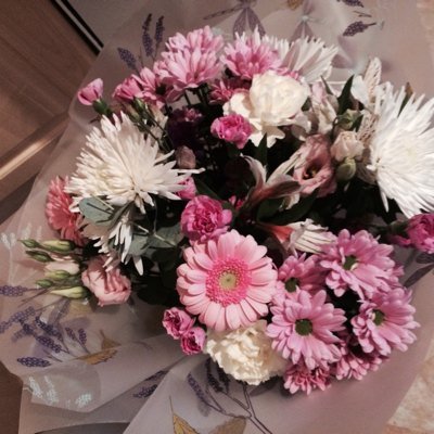 Profile Picture of Irene Barnes (@IreneBarnes13) on Twitter