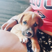 Profile Picture of Lorena Mantilla (@lorenamantilla5742) on Youtube