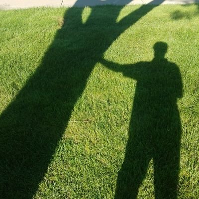 Profile Picture of Jeff Hafner (@Arborist_Jeff) on Twitter