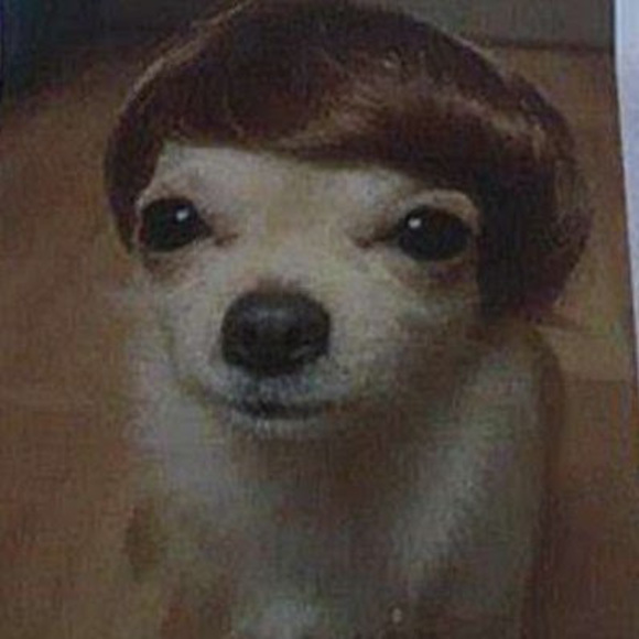 Profile Picture of Michael Cacici (@michaelcacici) on Poshmark