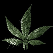 Profile Picture of Jason Fregia (@321207920) on Myspace