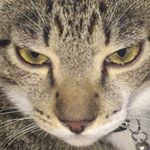 Profile Picture of Gary Alejandro Montes Busey (@gary_alejandro_montes_busey) on Instagram