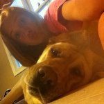 Profile Picture of Remington Adams (@remington_rimmy) on Instagram