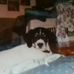 Profile Picture of Ken Denbow (@ken.denbow.3) on Facebook