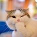 Profile Picture of Mindy Hsieh (@mindy.hsieh.568) on Facebook