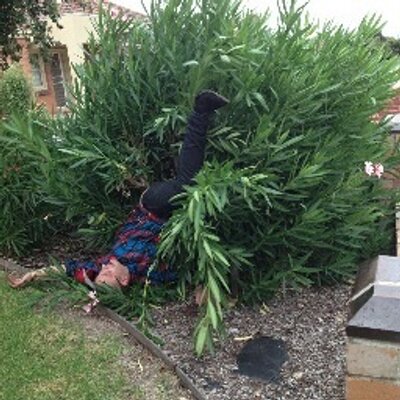 Profile Picture of James Fatone (@JamesFatone) on Twitter