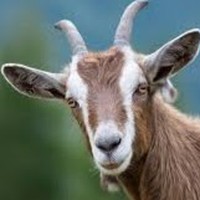 Profile Picture of Michael Hiney (@michael-hiney-3) on Quora