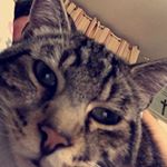 Profile Picture of Thomas Parent (@tmsprt) on Instagram