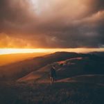 Profile Picture of Justin Tindal (@justin_tindal) on Instagram