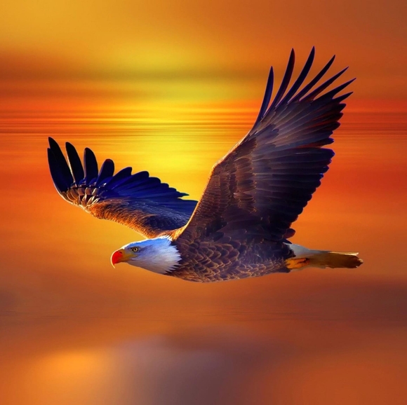 Profile Picture of Lisa Lanni (@tomnlisa) on Poshmark