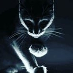 Profile Picture of Douglas Best Jr. (@bestjr.douglas) on Instagram