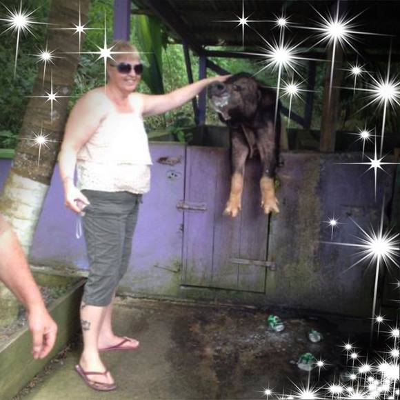 Profile Picture of Donna Passehl (@dpass19875) on Poshmark
