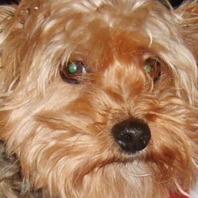 Profile Picture of Buccholeas Marvin R. (@OscarJeremy) on Twitter