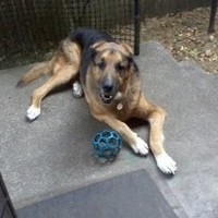 Profile Picture of Steven Kugler (@steven-kugler) on Quora