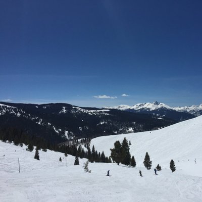 Profile Picture of Carson Gray (@CarsonGray_16) on Twitter