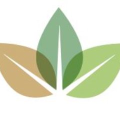 Profile Picture of Alexander Hubbard (@AlexHubbardGM) on Twitter