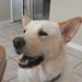 Profile Picture of Jason Reigelsperger (@jasonr1182) on Pinterest