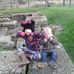 Profile Picture of James Hawkes (@james.hawkes.376) on Facebook