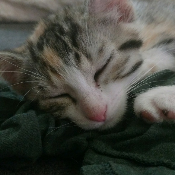 Profile Picture of Savannah Ryan (@vannahleigh_23) on Poshmark