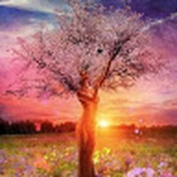 Profile Picture of Monique Wesley (@monique-wesley-6) on Quora