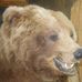 Profile Picture of John Everett (@john.everett.140) on Facebook