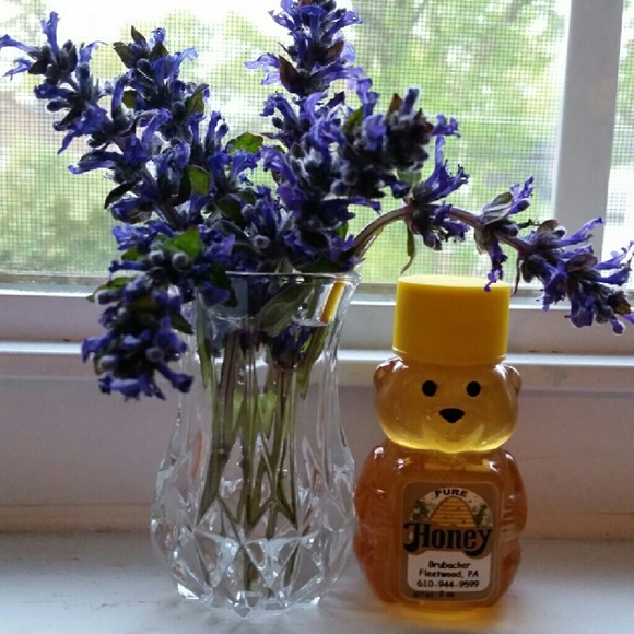 Profile Picture of Paula Couchara (@paulasboutique) on Poshmark