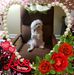 Profile Picture of Lori Starling (@Lori-Starling) on Facebook