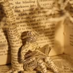 Profile Picture of Anna Hassler (@Anna-Hassler) on Facebook