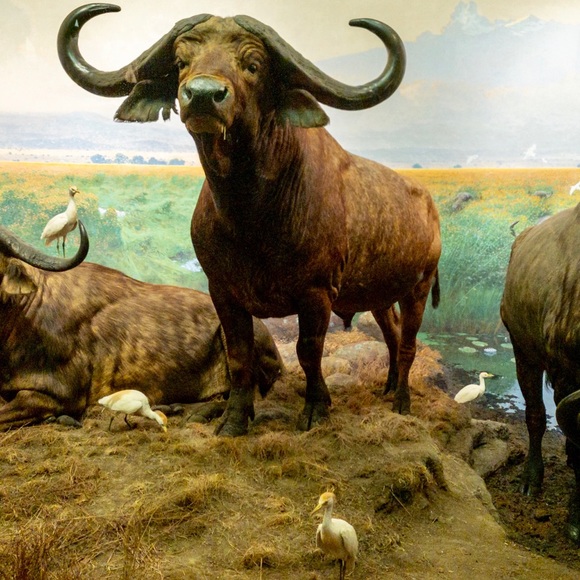 Profile Picture of Greg Kim (@paris2kyoto) on Poshmark