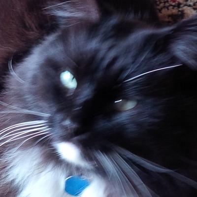 Profile Picture of Keith Winchester (@bearonautical) on Twitter