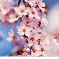 Profile Picture of Jean Abels (@jean-abels) on Quora