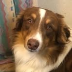 Profile Picture of Dennis Hildreth (@dennis.hildreth.315) on Facebook