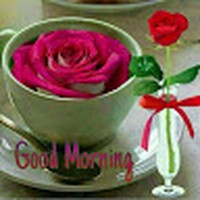 Profile Picture of Hari Ram (@hari-ram-917) on Quora