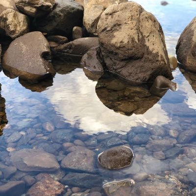 Profile Picture of Sam Champlin (@sam_champlin) on Twitter