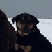 Profile Picture of Robert Borer (@roberthborer) on Pinterest